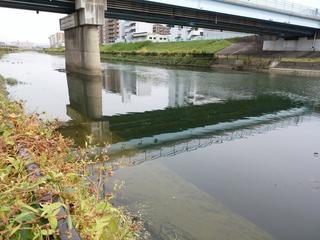 DSC_0068.jpg