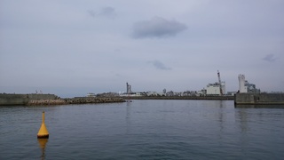 DSC_0143.jpg