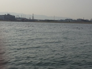 image1.jpeg