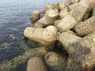 image1 (14).JPG