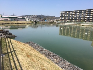 宇治市の木幡池から木津川の野池 大阪発 電車で釣行記